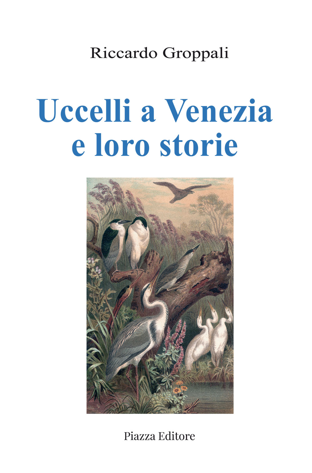 Scopri di più sull'articolo Uccelli a Venezia e loro storie