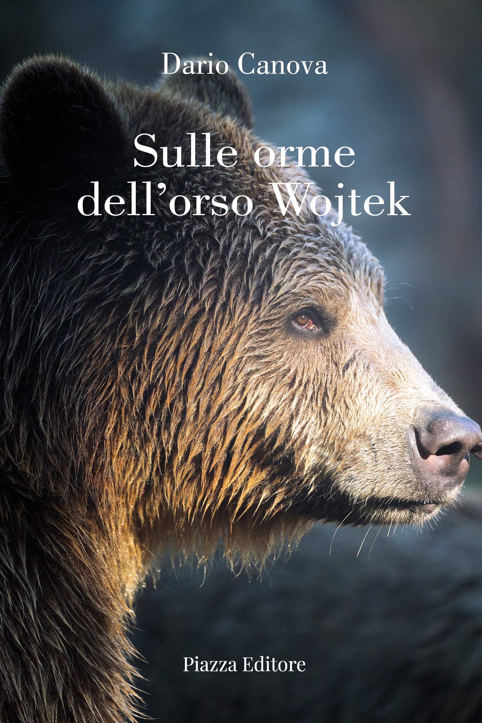 Scopri di più sull'articolo Sulle orme dell’orso Wojtek
