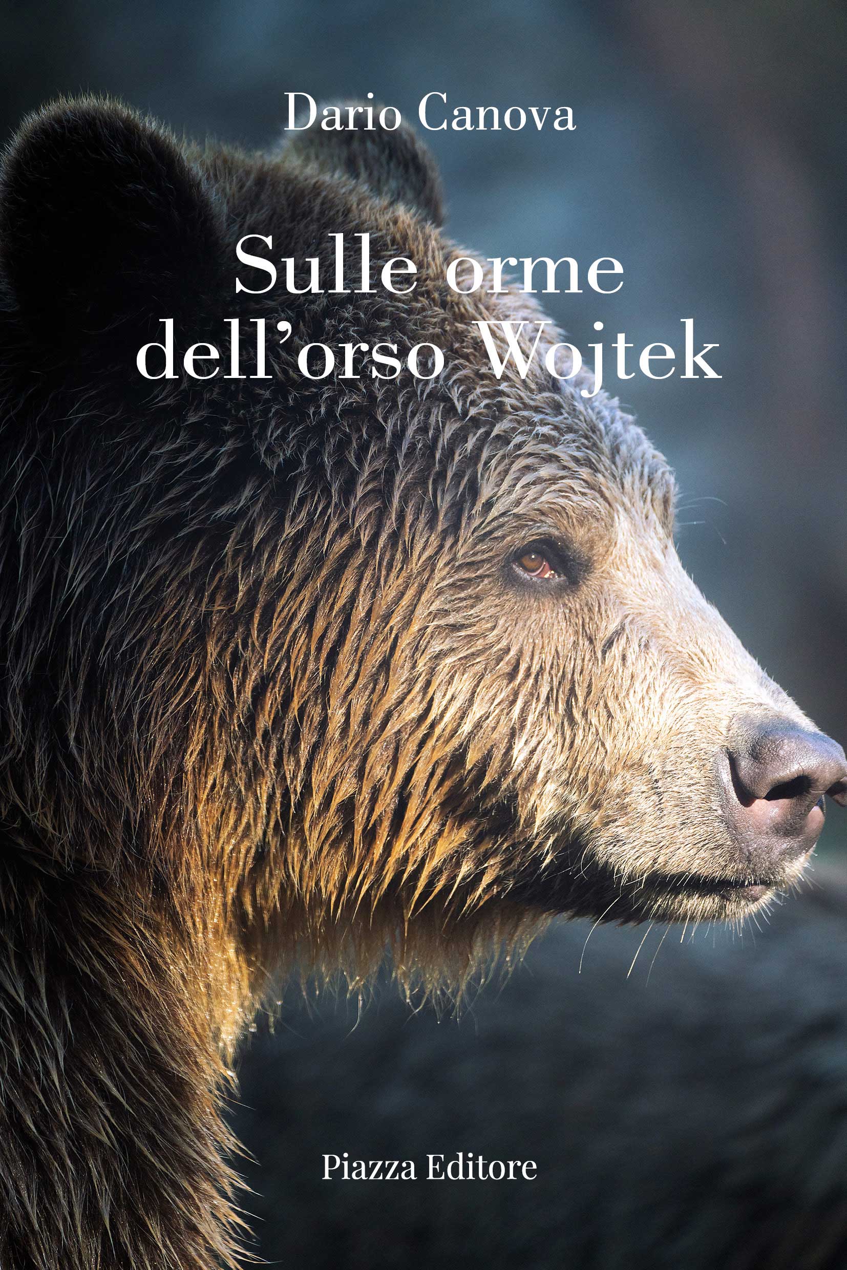 Sulle orme dell’orso Wojtek